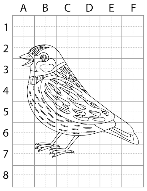 Vector bird drawing page