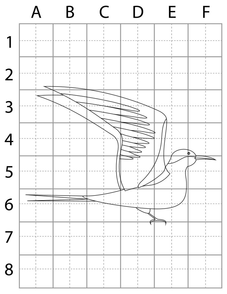 Vector bird drawing page