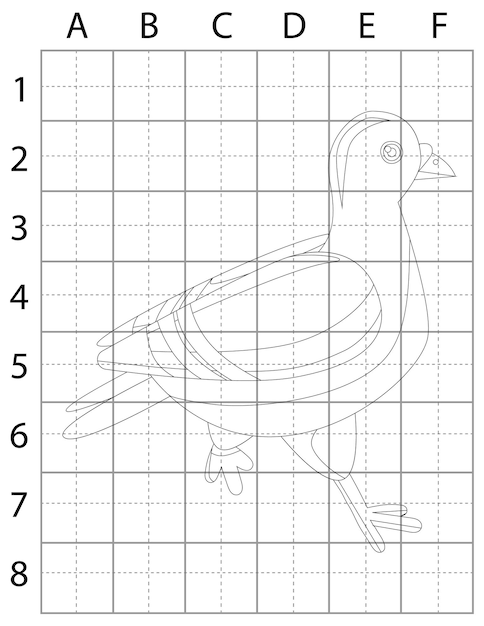 Vector bird drawing page