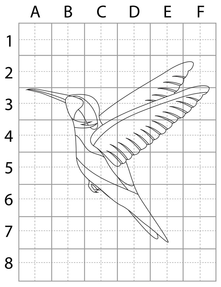Vector bird drawing page