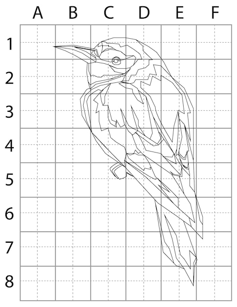 Vector bird drawing page