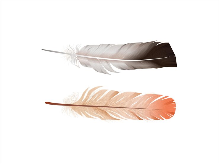 Vector bird falling feather vector illustration isolated on white background