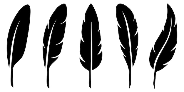 Black Feather Images - Free Download on Freepik