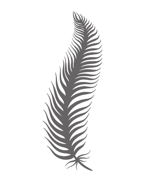 Bird feather hand engraved vector isolated illustration Feather sketch boho style Decoration