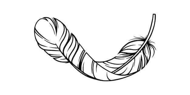 Schizzo di piume di uccello piuma decorativa curva isolata su sfondo bianco illustrazione vettoriale