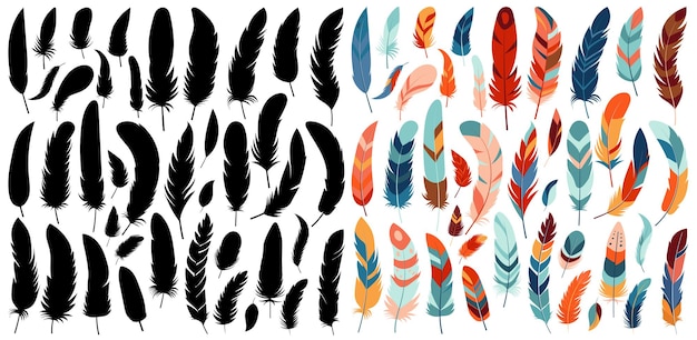 Bird feathers big set isolated vector