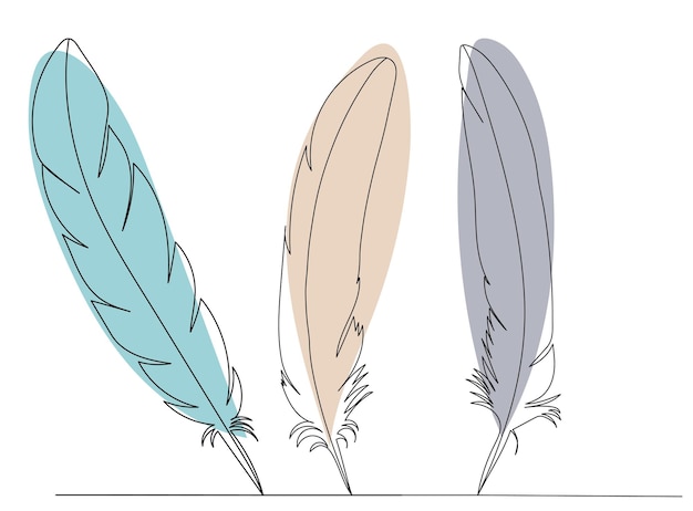 Bird feathers drawing in one continuous line sketch vector