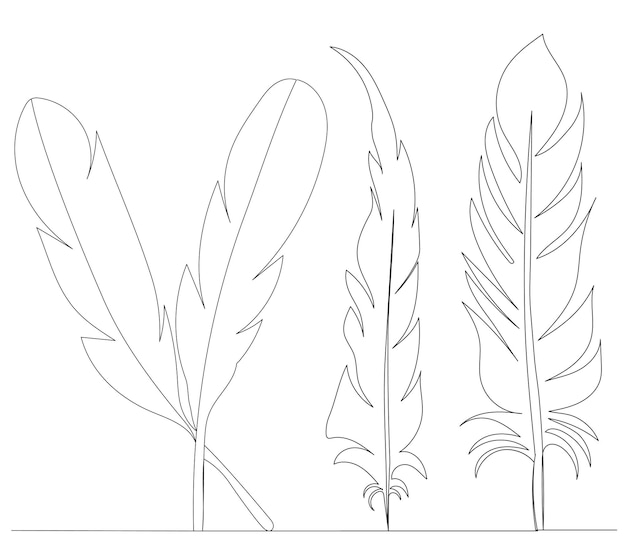 Bird feathers drawing in one continuous line vector