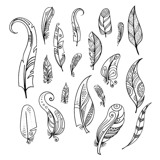 Vector bird feathers. hand drawing indian elements set isolate on white. boho style