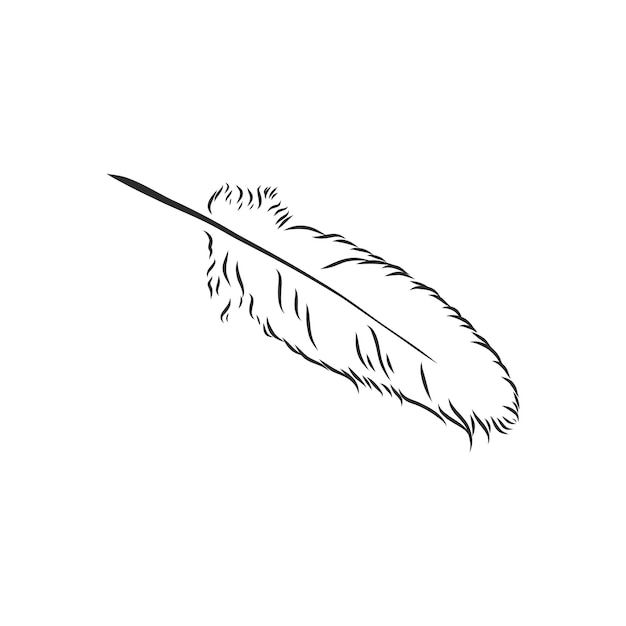 Vector bird feathers hand drawn illustration converted to vector