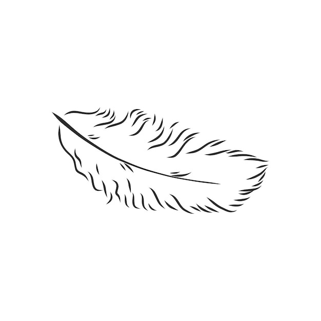 Vector bird feathers hand drawn illustration converted to vector