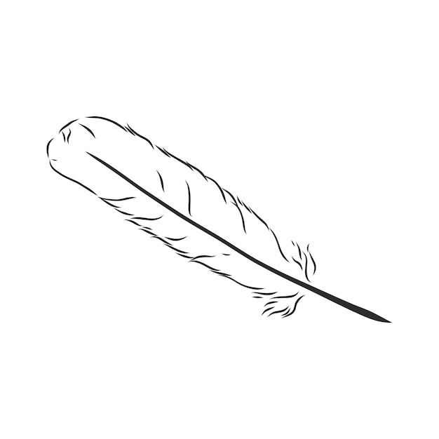 Vector bird feathers hand drawn illustration converted to vector