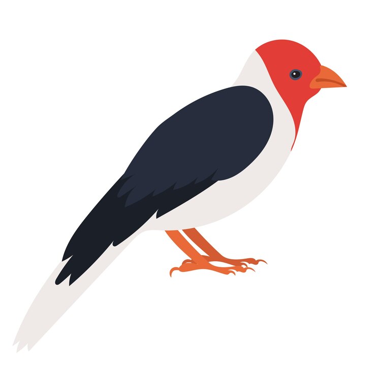 Vector bird flat design isolated on white background vector