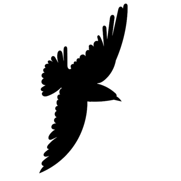 Bird flies, black silhouette vector