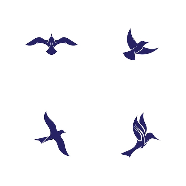 Vector bird fly logo template vector illustration