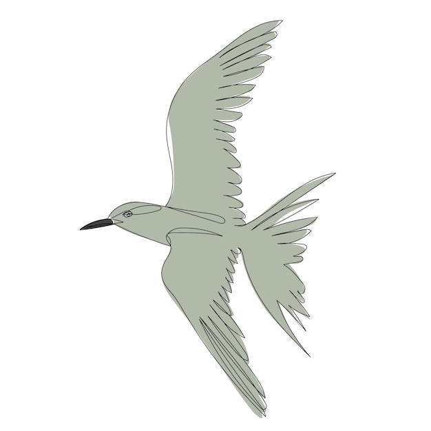 Vector bird flying sketch, line drawing vector, isolated