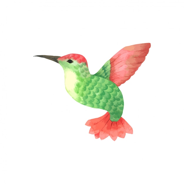 bird flying watercolor, green and red bird hand drawn painted for greeting card 
