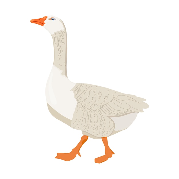 Bird goose vector flat illustration