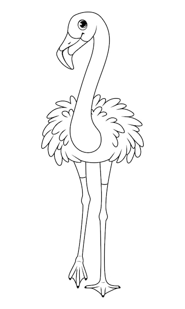 Bird greater flamingo outline vector cartoon illustration