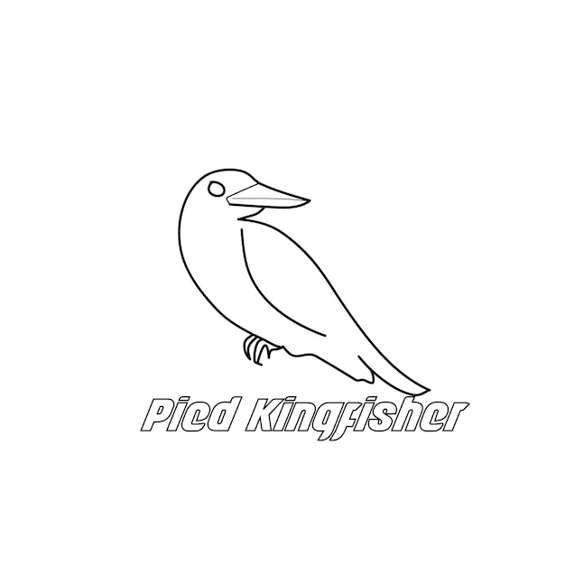 Bird icon, Pied Kingfisher symbol design stock illustration