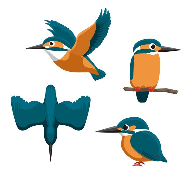 Bird illustration vector