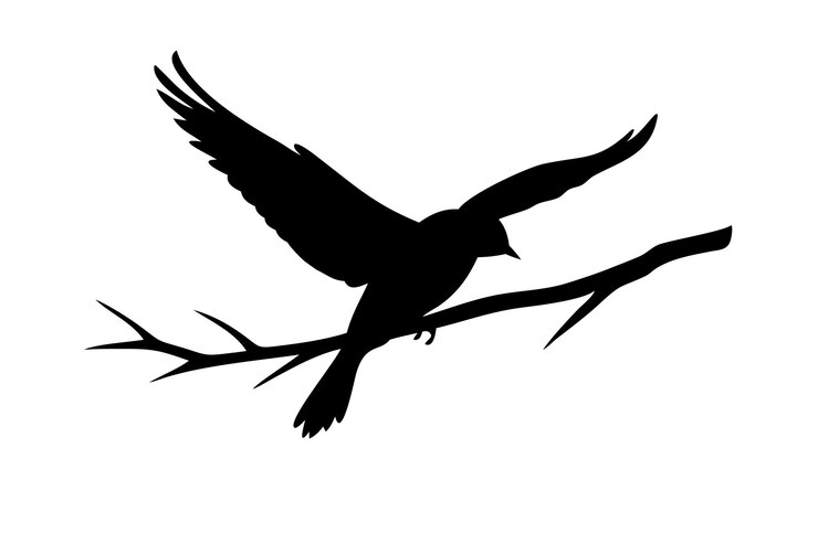 Vector a bird is flying over a branch with a black background