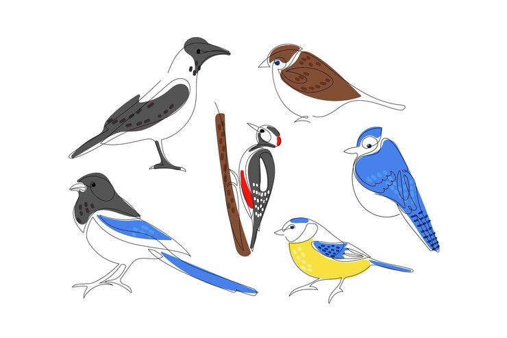 Vector bird line drawing set one continuous line drawing birds with color spots hand drawn cute birds