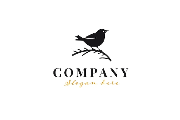 Bird logo concept template design