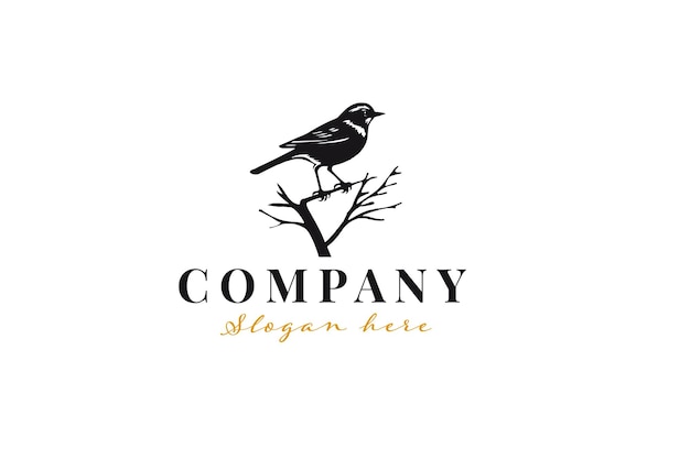 Bird logo concept template design