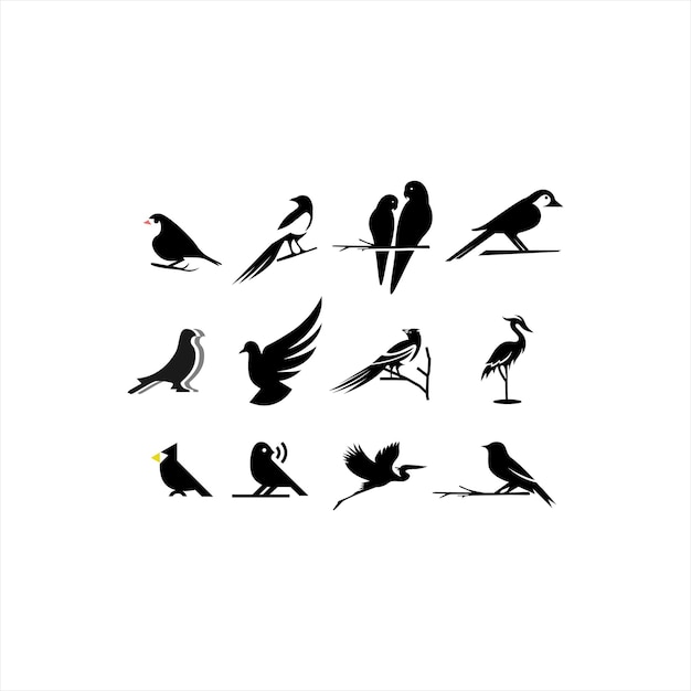 Bird Logo Design Collection