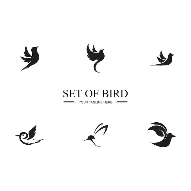 Bird logo images illustration design