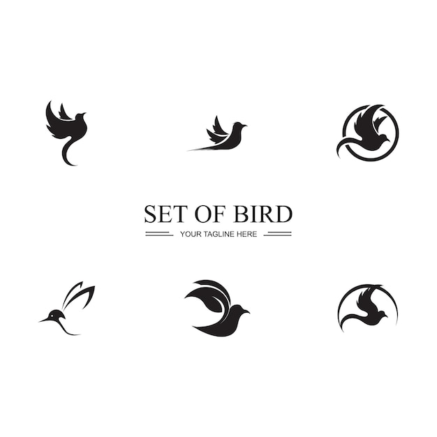 Птица логотип изображения иллюстрации дизайн