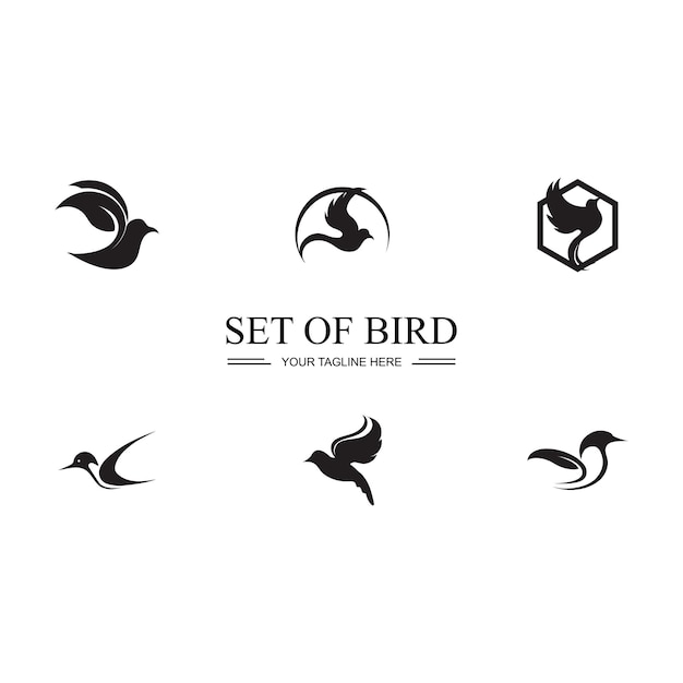 Bird logo images illustration design