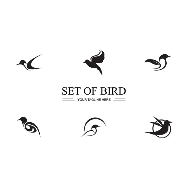 Vector bird logo images illustration design