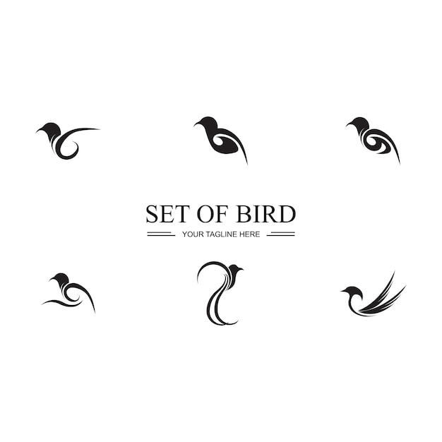 Bird logo images illustration design