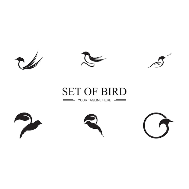 Bird logo images illustration design