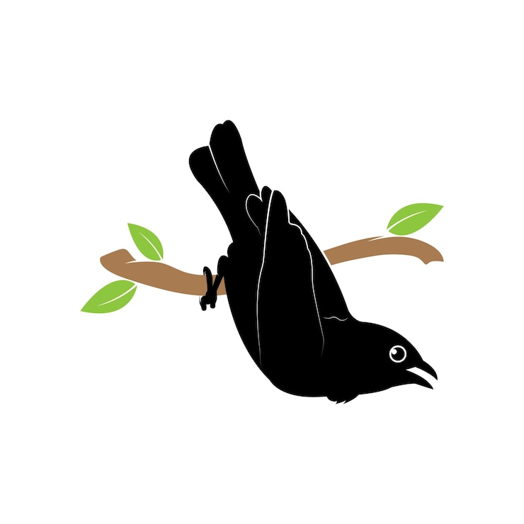 Vector bird logo template vector illustration