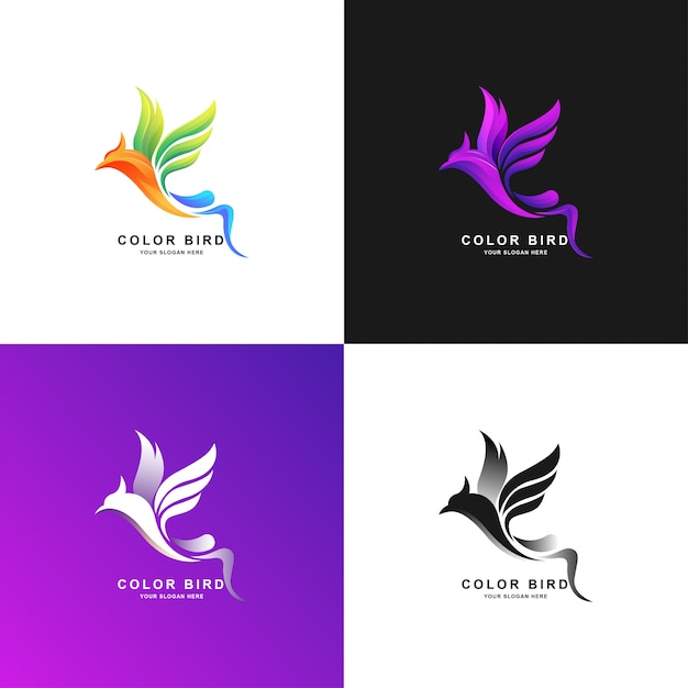 Bird logo template with gradient color