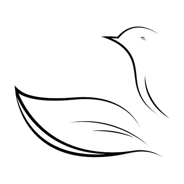 Vector bird logo vector illustration design