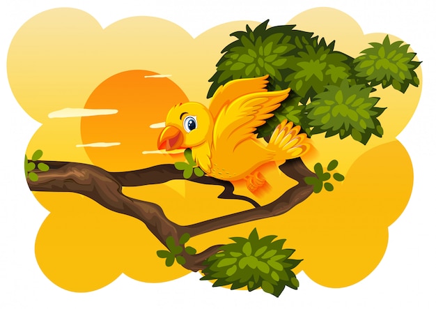 Vector bird in nature sunset scene