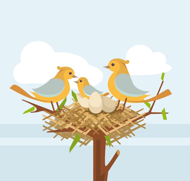 Vector bird nest on the tree branch with bird family, flat illustration