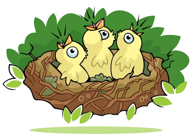 Bird nest vector illustration