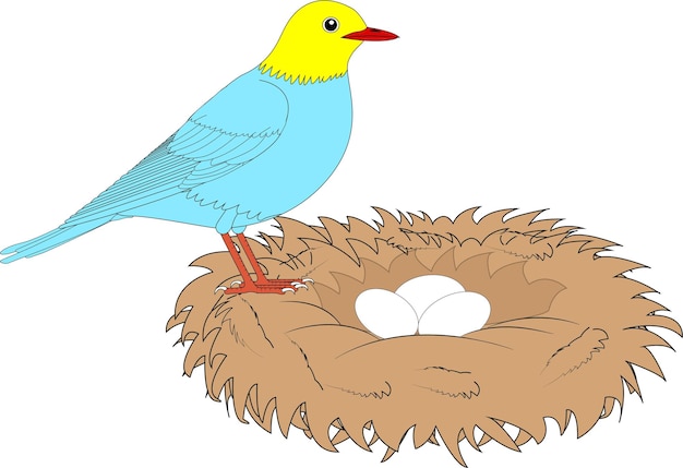 Vector bird on nest with eggs