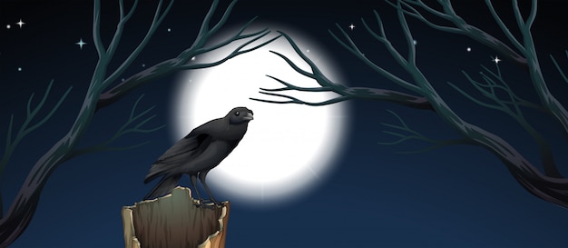 Vector bird in night scene