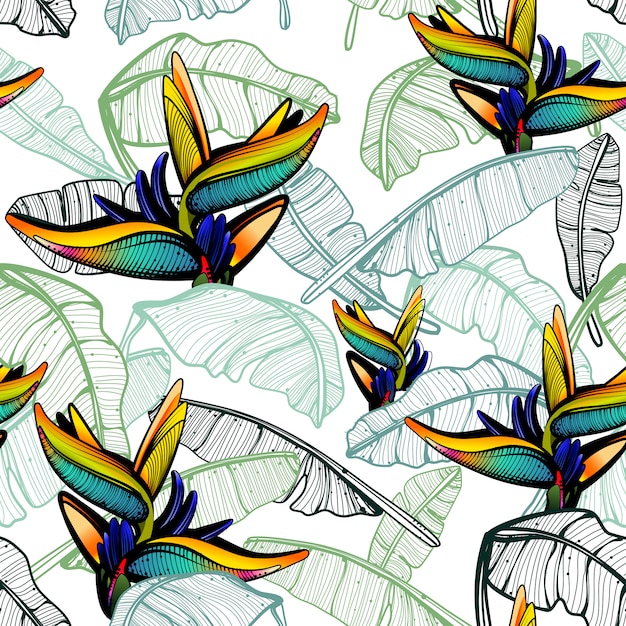 Vector bird of paradise pattern