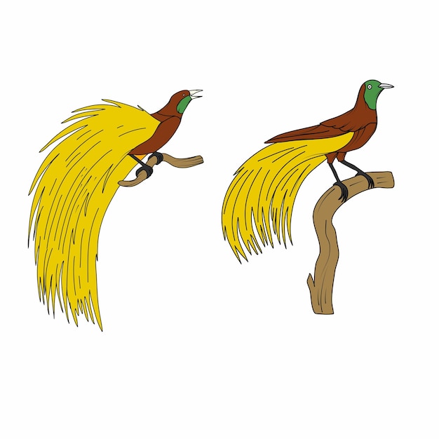 Vector bird of paradise set