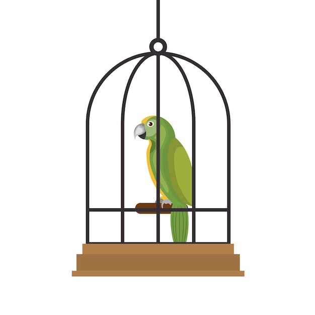 Vector bird pet shop icon