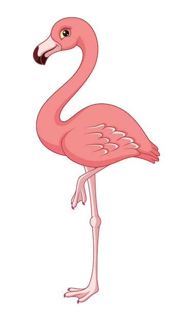 Vector bird pink flamingo vector cartoon illustration