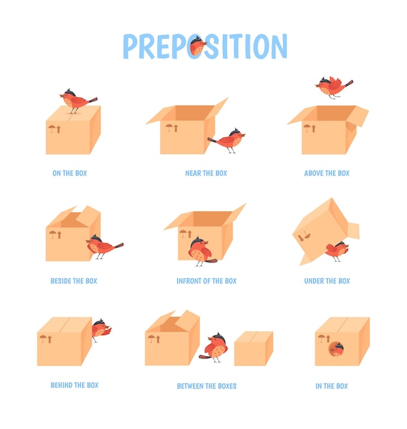 Premium Vector  Bird preposition preschool education topologia
