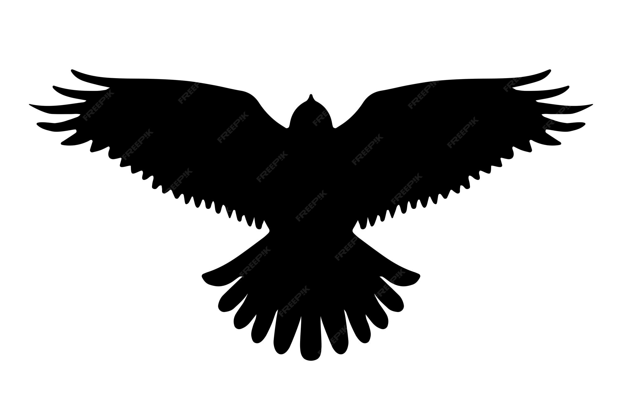 Premium Vector | Bird of prey flying silhouette isolated vector
